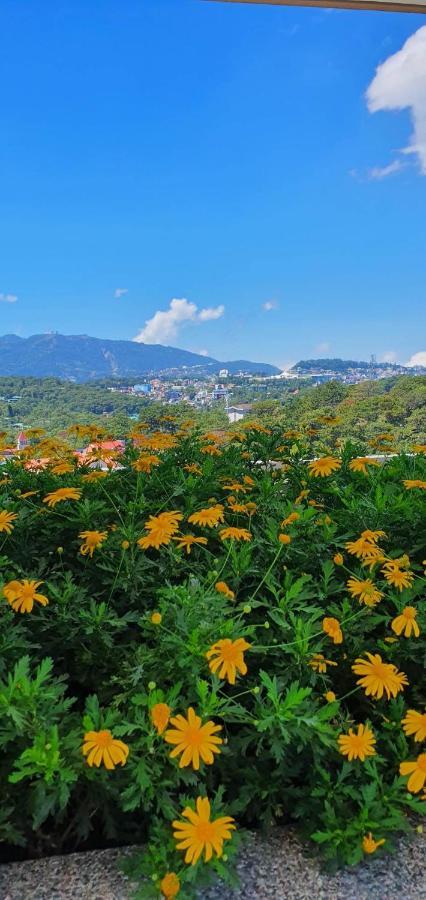 Jcga Apartments At Bristle Ridge Condominium Near Botanical Garden And The Mansion Baguio City Eksteriør billede